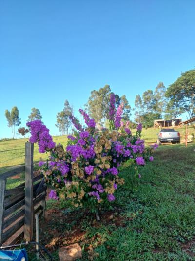 Sítio Bairro Graminha