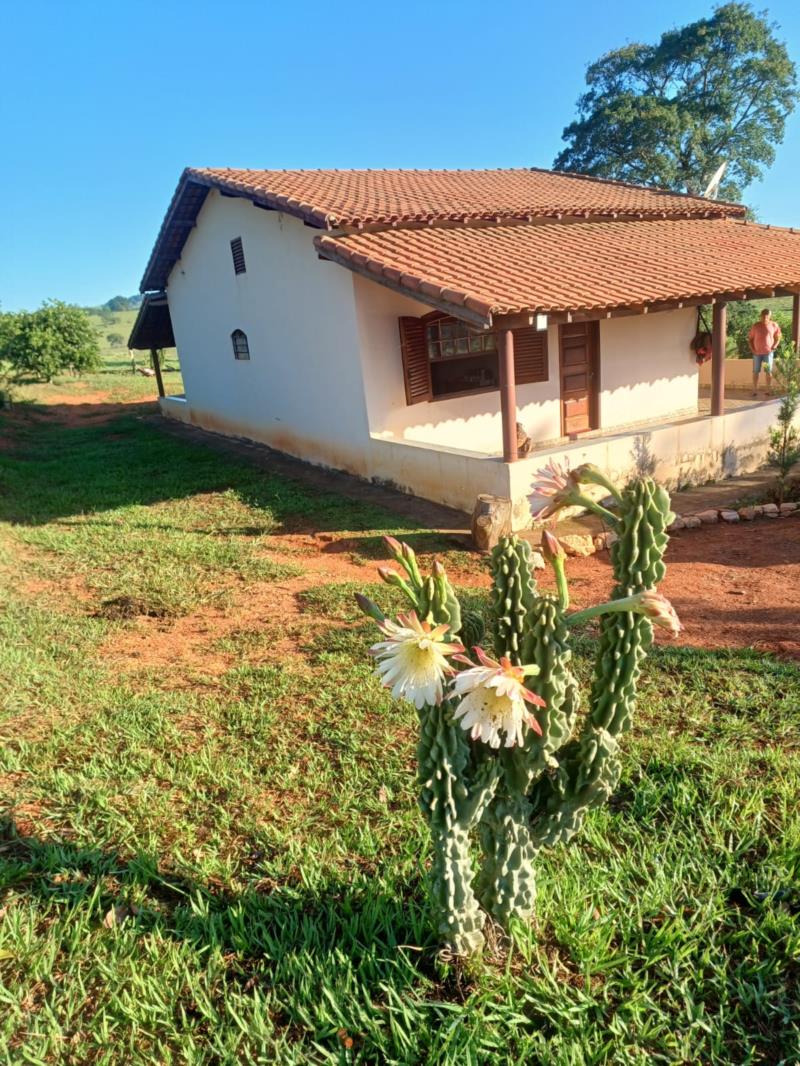 Sítio Bairro Graminha