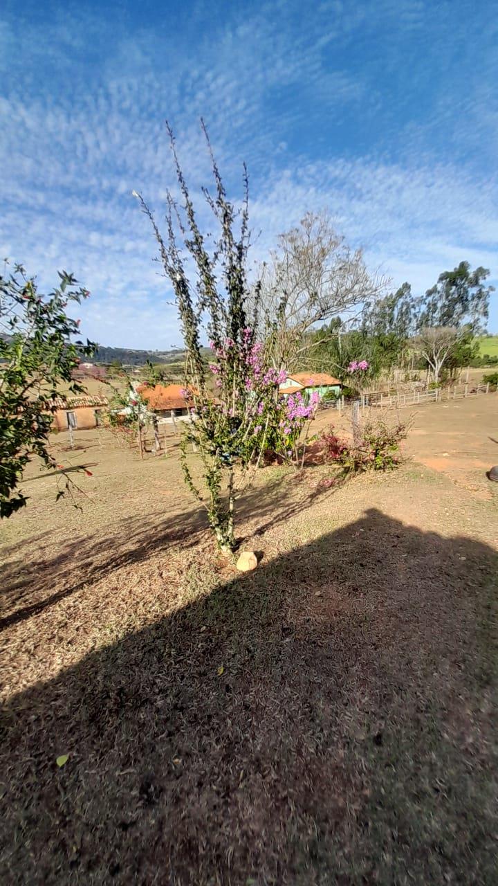Sítio Bairro Graminha